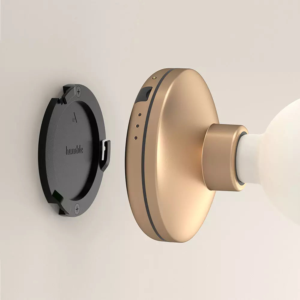 Humble Bee Wall Light