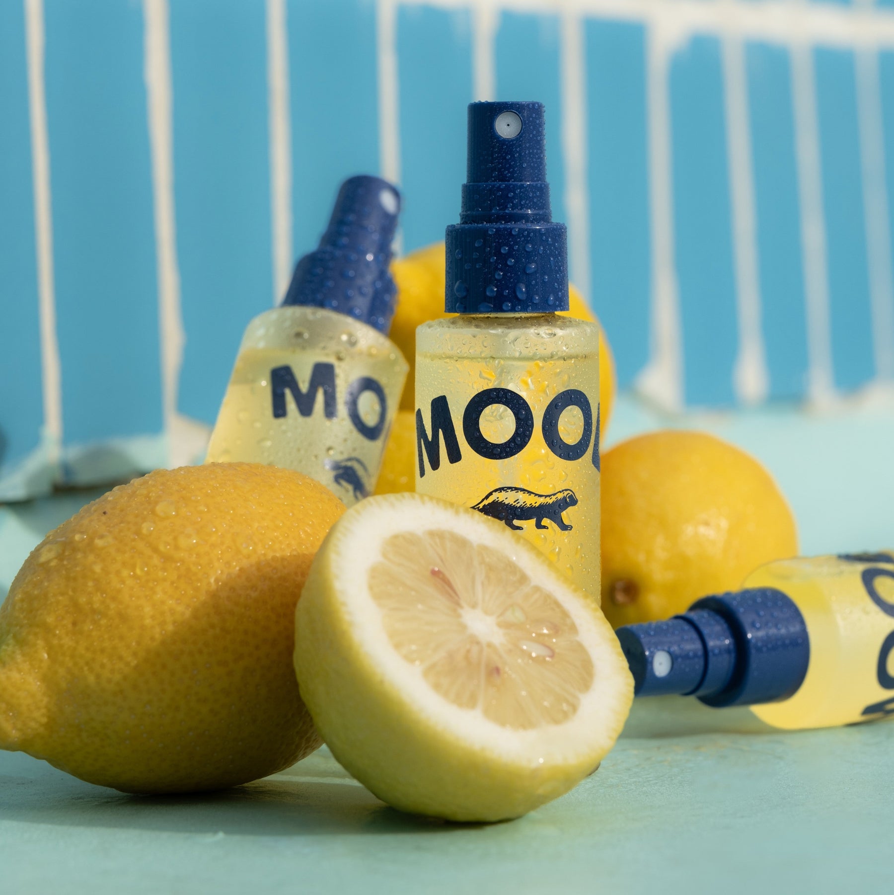 Lemon in focus and corresponding travel sized Mood Waters in back of image