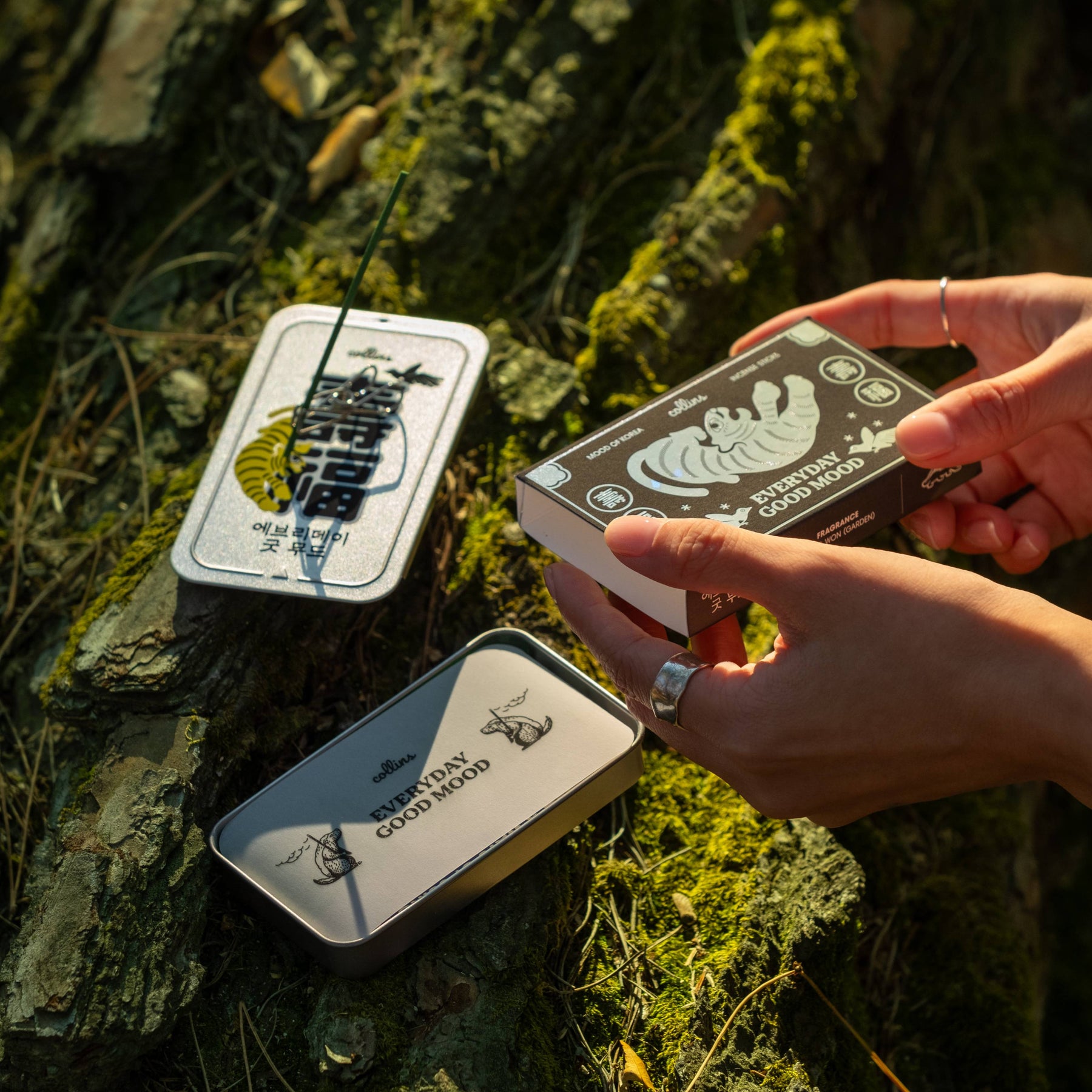 South Korea Edition - open in Forest on tree floor