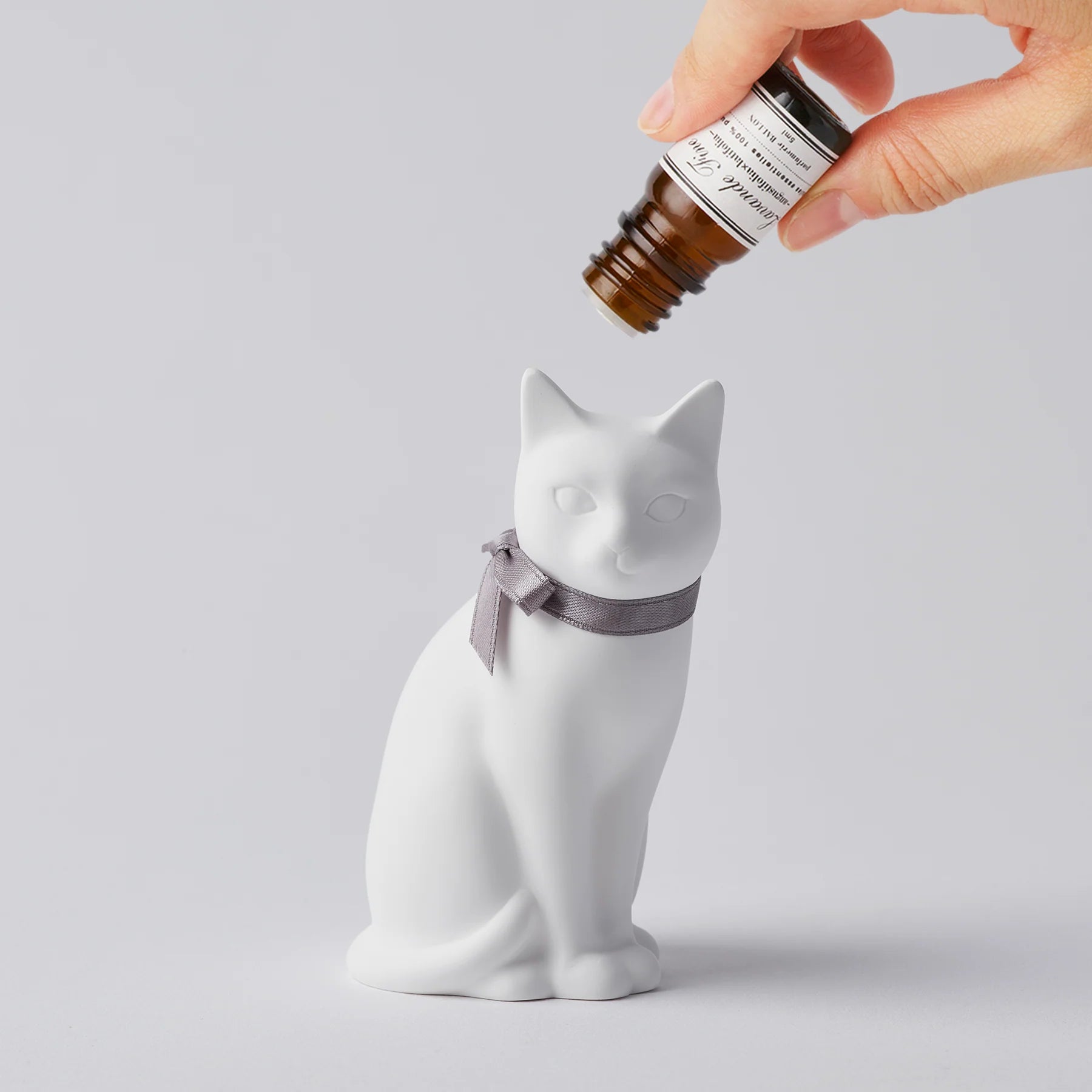 Oil being dripped on cat Product Photo