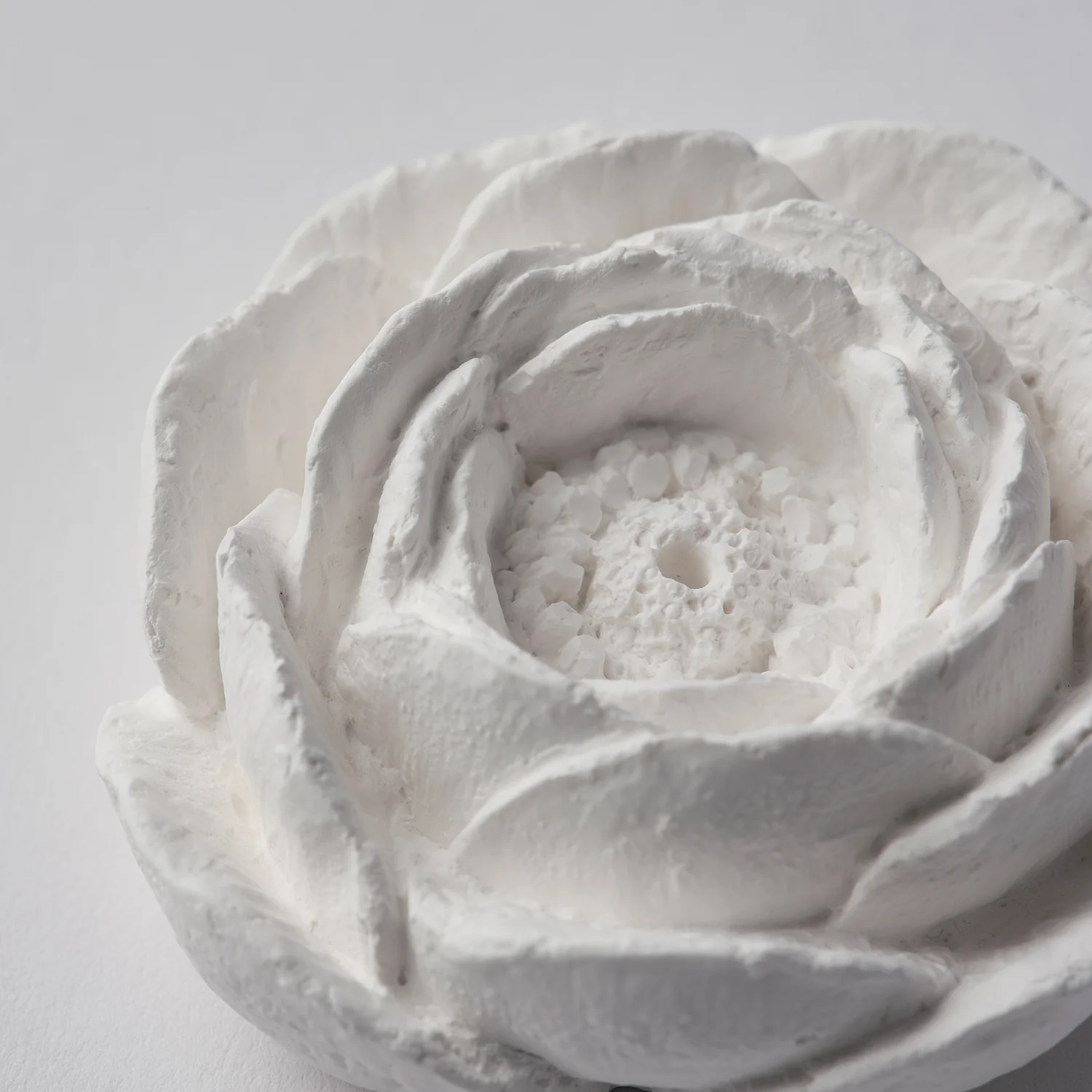 closeup product camellia