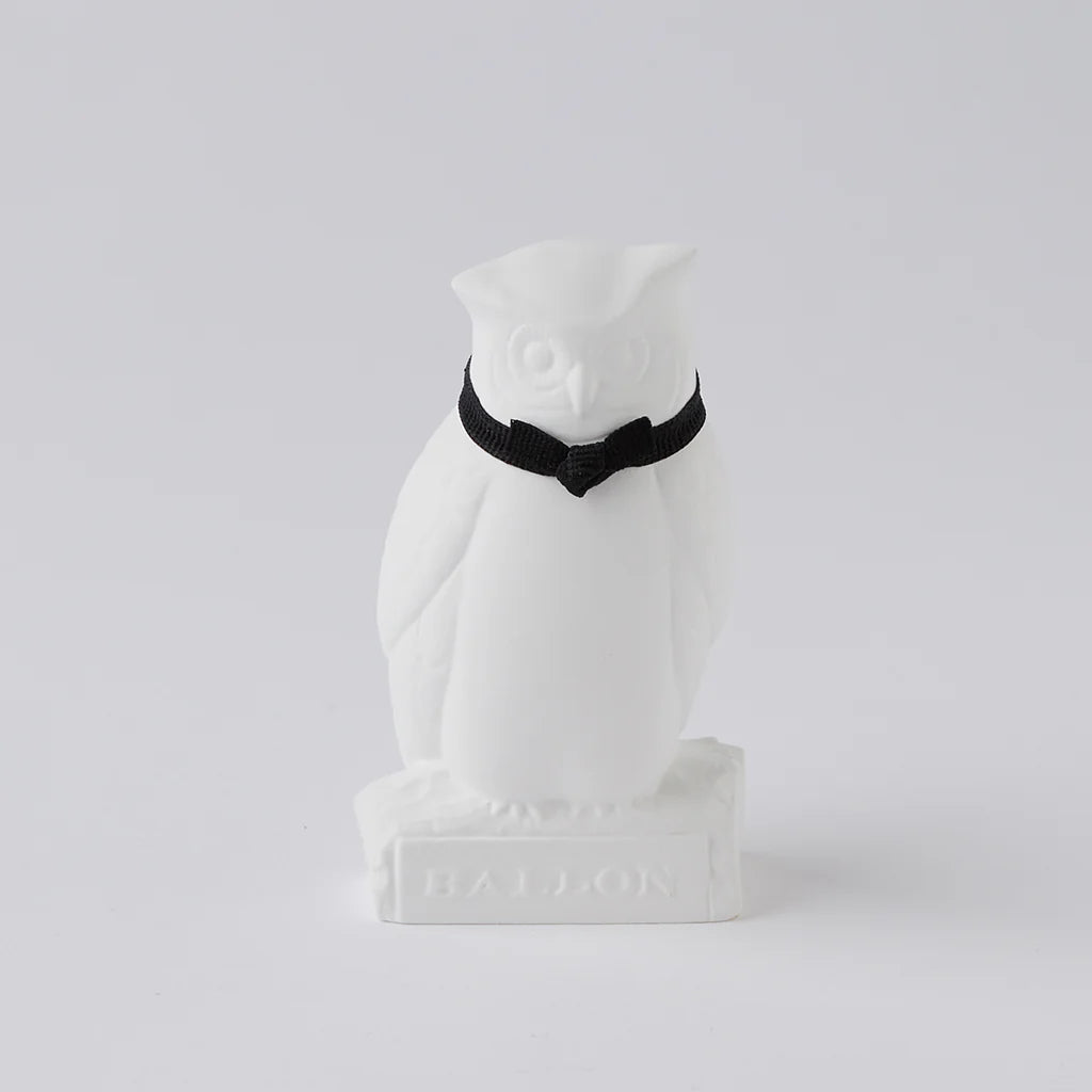 Owl Frontal View Product Photo