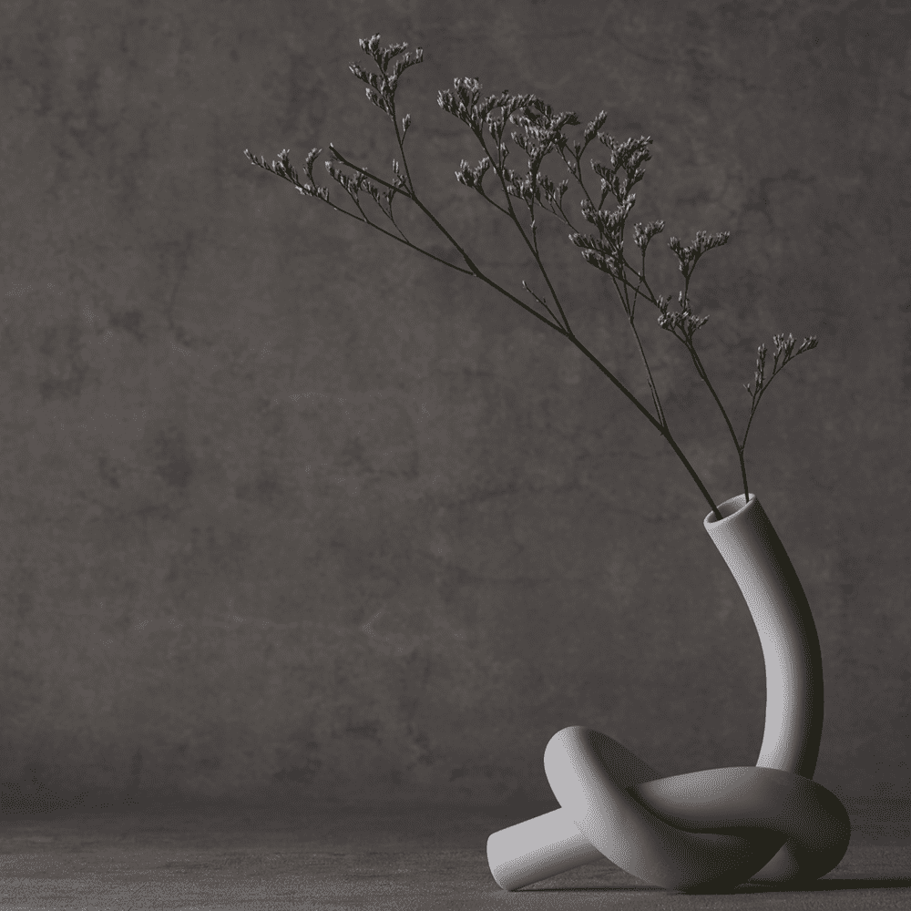 Musubu Vase - black and white still life