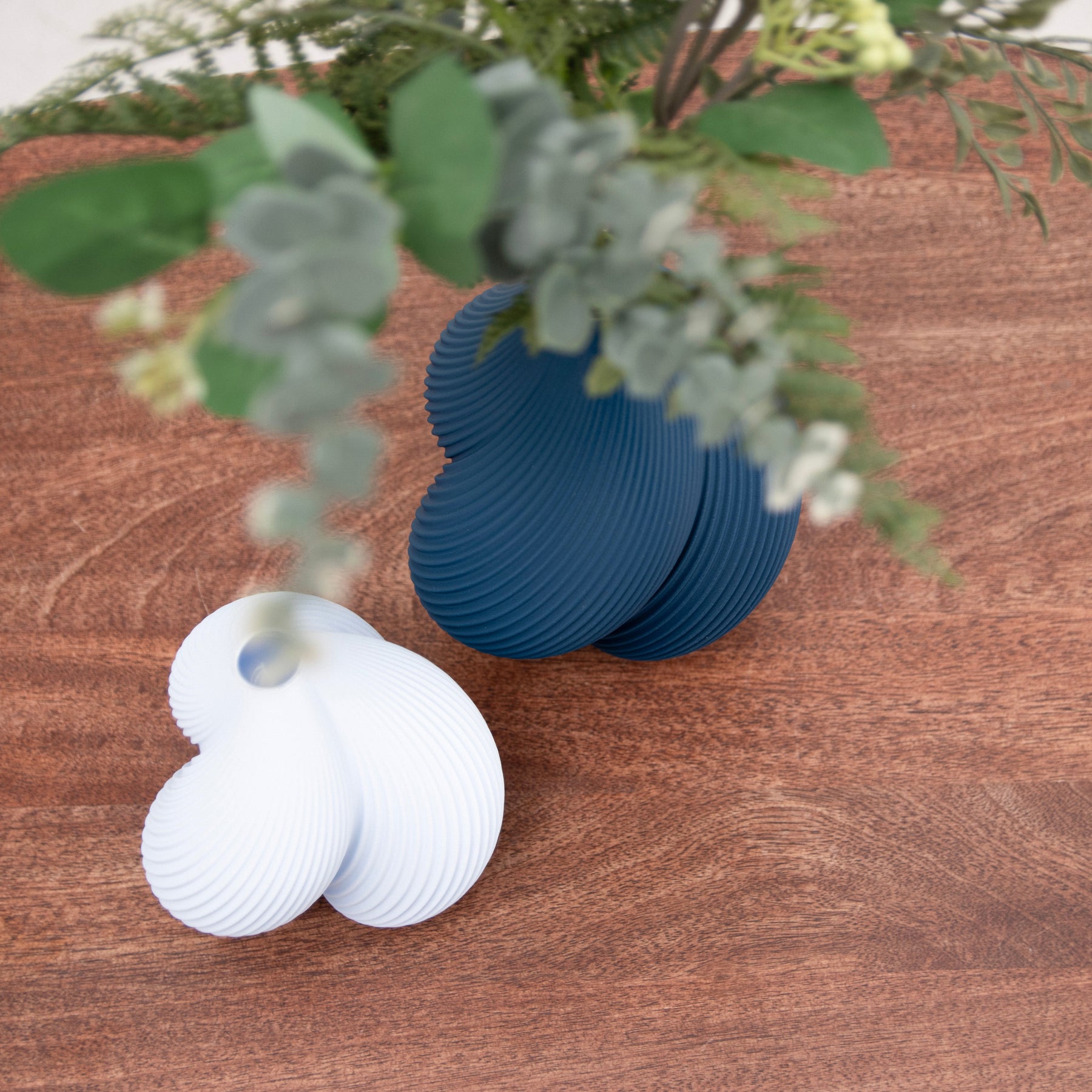 Venus Birdseye View on Walnut Table
