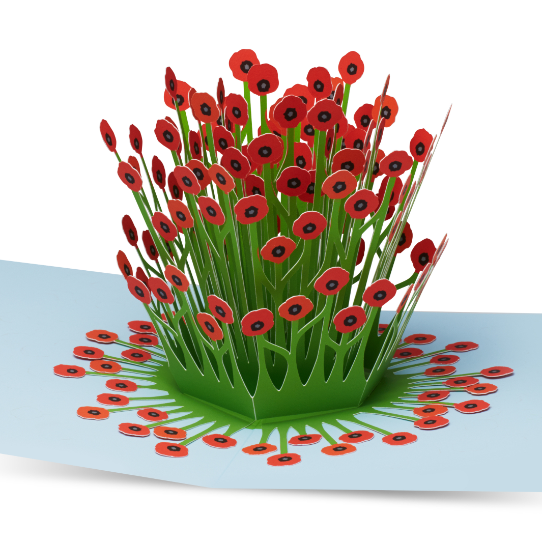 IC Design Peter Dahmen - Blooming Poppies Pop Up Card