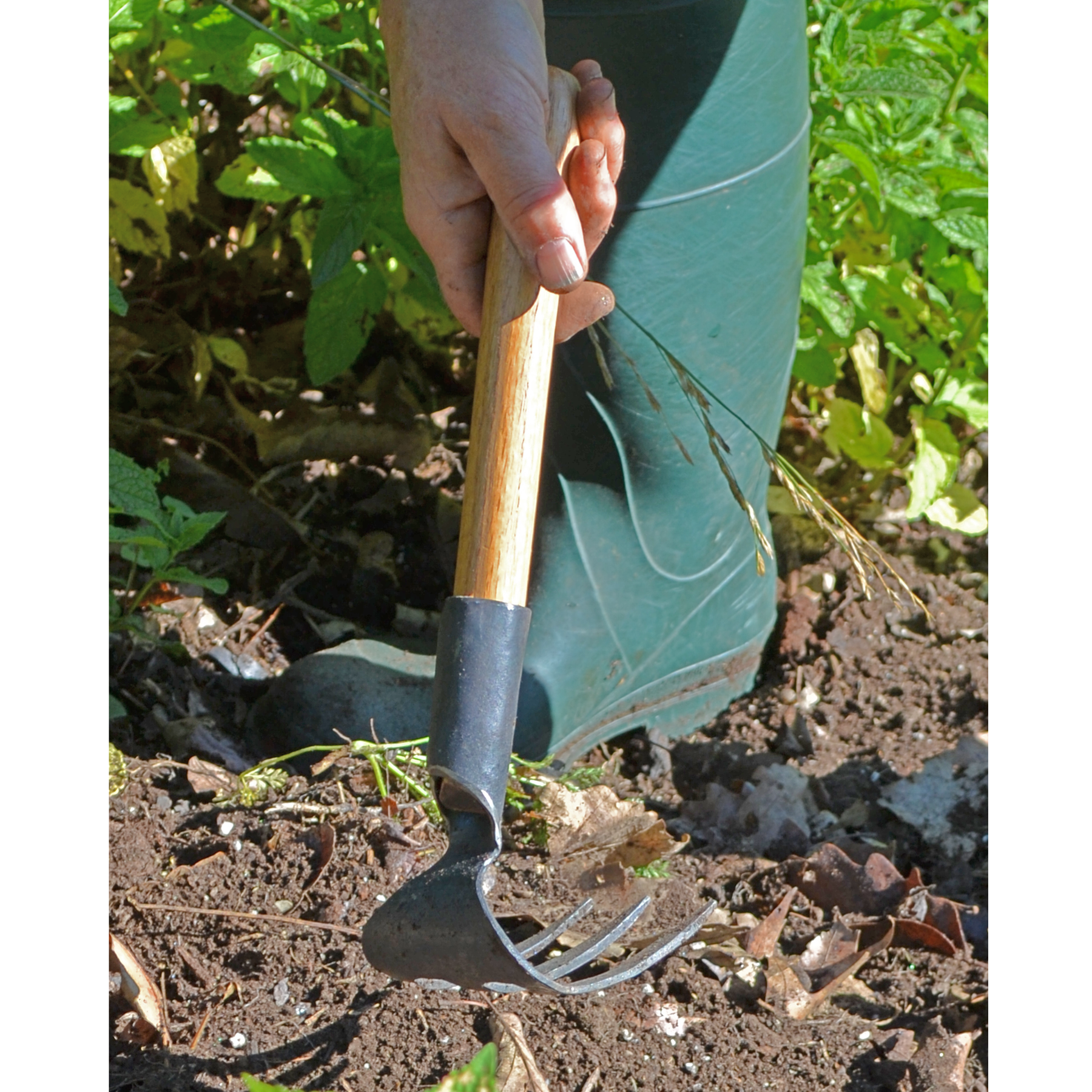 #70 Hand Cultivator 3-Tine