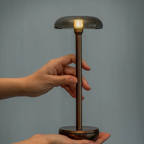 Hands holding Humble Air Bronze while on