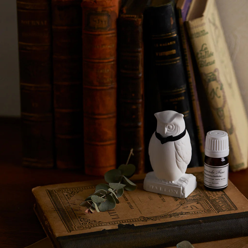 Enviro Photo of Owl with Books 