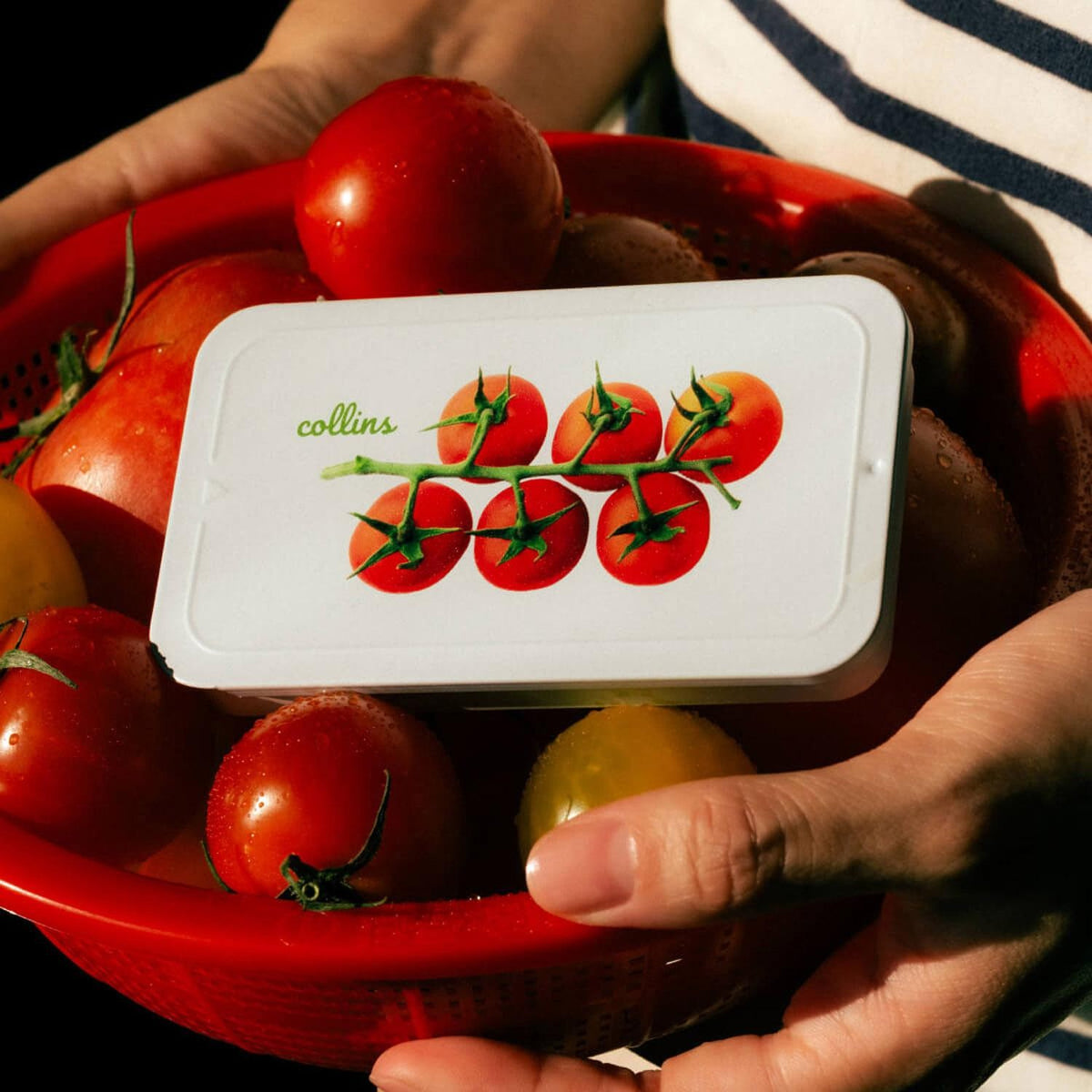 A white rectangular Collins tomato tin with a lid printed with red cherry tomatoes on a vine, held in hands over a red colander filled with tomatoes.