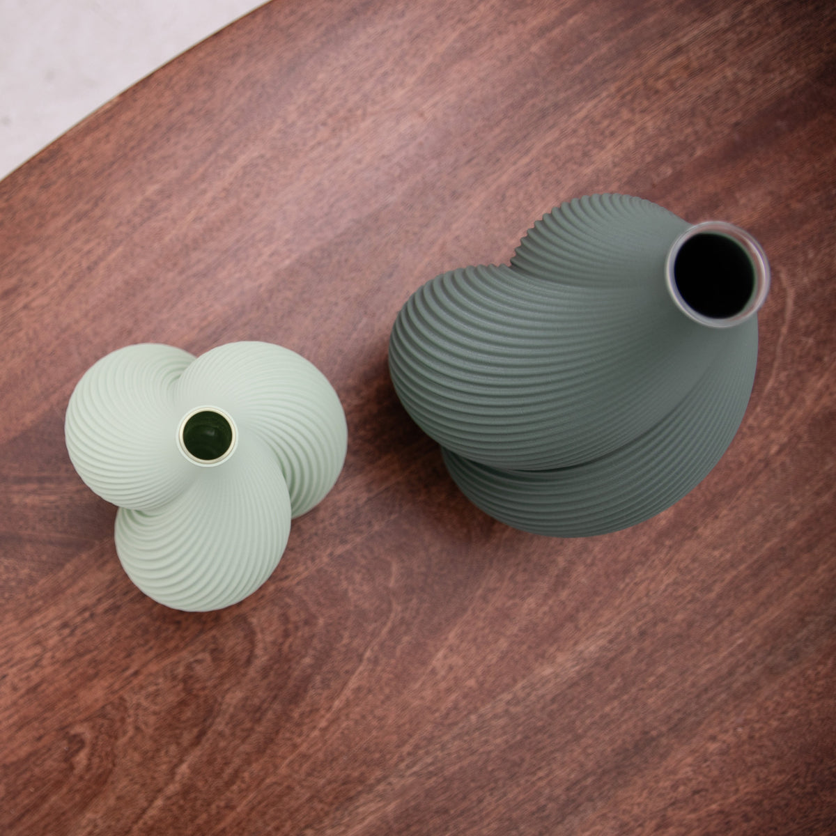 Venus Collection Closeup Birds Eye View